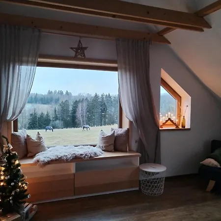 Apartman Schwaderbach *