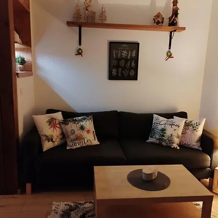 Apartman Schwaderbach * Kraslice
